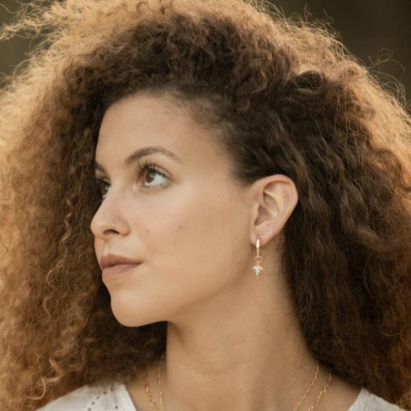 ⁦צ'ארמ לוטוס⁩ – תמונה ⁦7⁩
